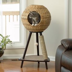 arbre a chat kandy